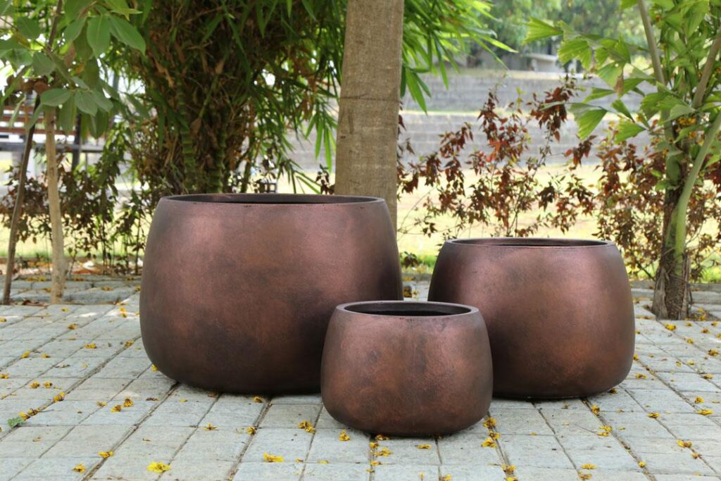 buy plants and pots online